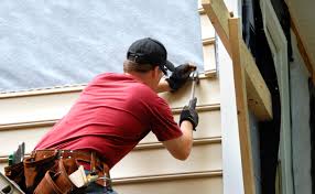 Best Historical Building Siding Restoration  in Diamond, IL